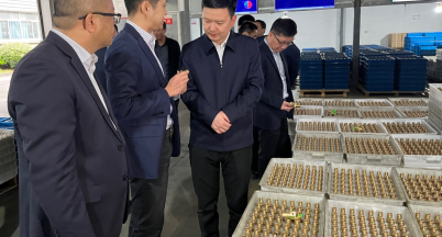 春風化雨，潤物無聲 ——張昆侖市長一行蒞臨銘仕興新調研